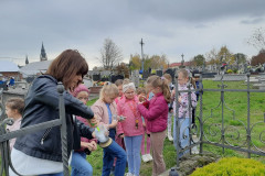 IMG-20241030-WA0028