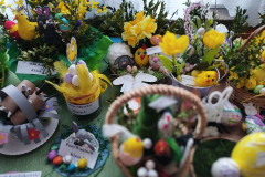 IMG_20240327_073116