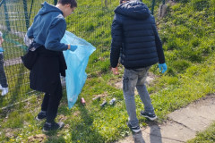 IMG_20250404_135219