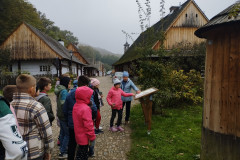 IMG_20241016_102108