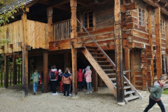 IMG_20241016_105635
