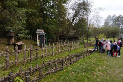 IMG_20241016_113146