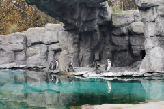 IMG-20241029-WA0008