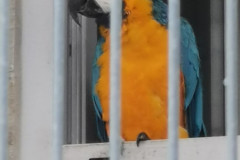 IMG-20241029-WA0012