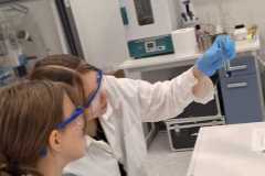 IMG-20251114-WA0014