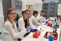 IMG-20251114-WA0016